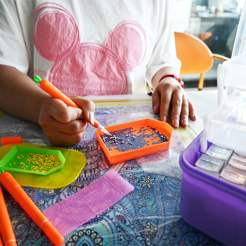 Diamond Embroidery Tools Carro - đánh giá và giá Embroidery Beads