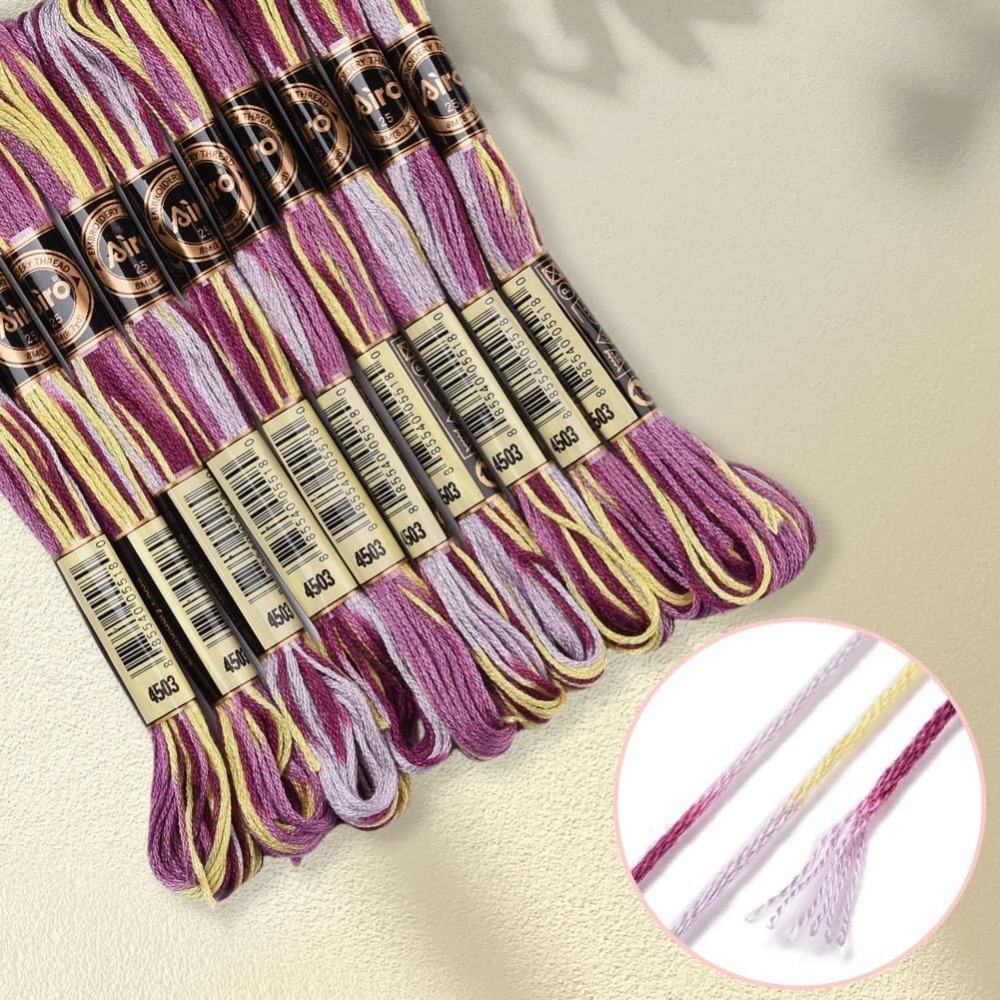 6 Strands Purple Variegated Em - đánh giá và giá Embroidery Threads